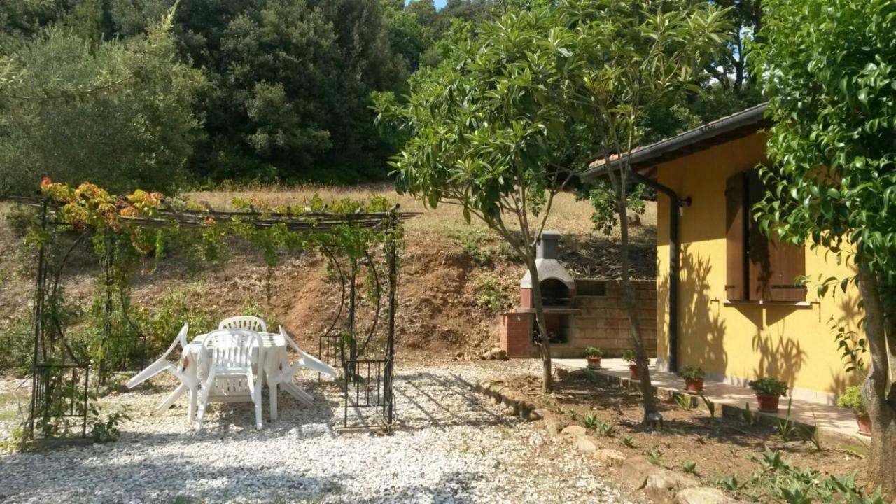 Podere Mammoleta Fattoria la Marsiliana Eksteriør billede