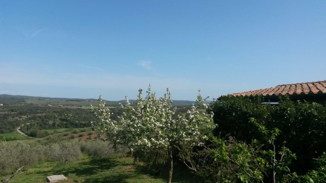 Podere Mammoleta Fattoria la Marsiliana Eksteriør billede