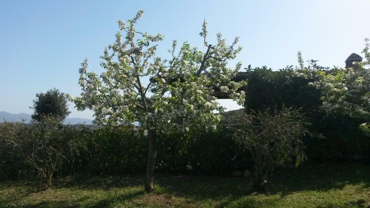 Podere Mammoleta Fattoria la Marsiliana Eksteriør billede